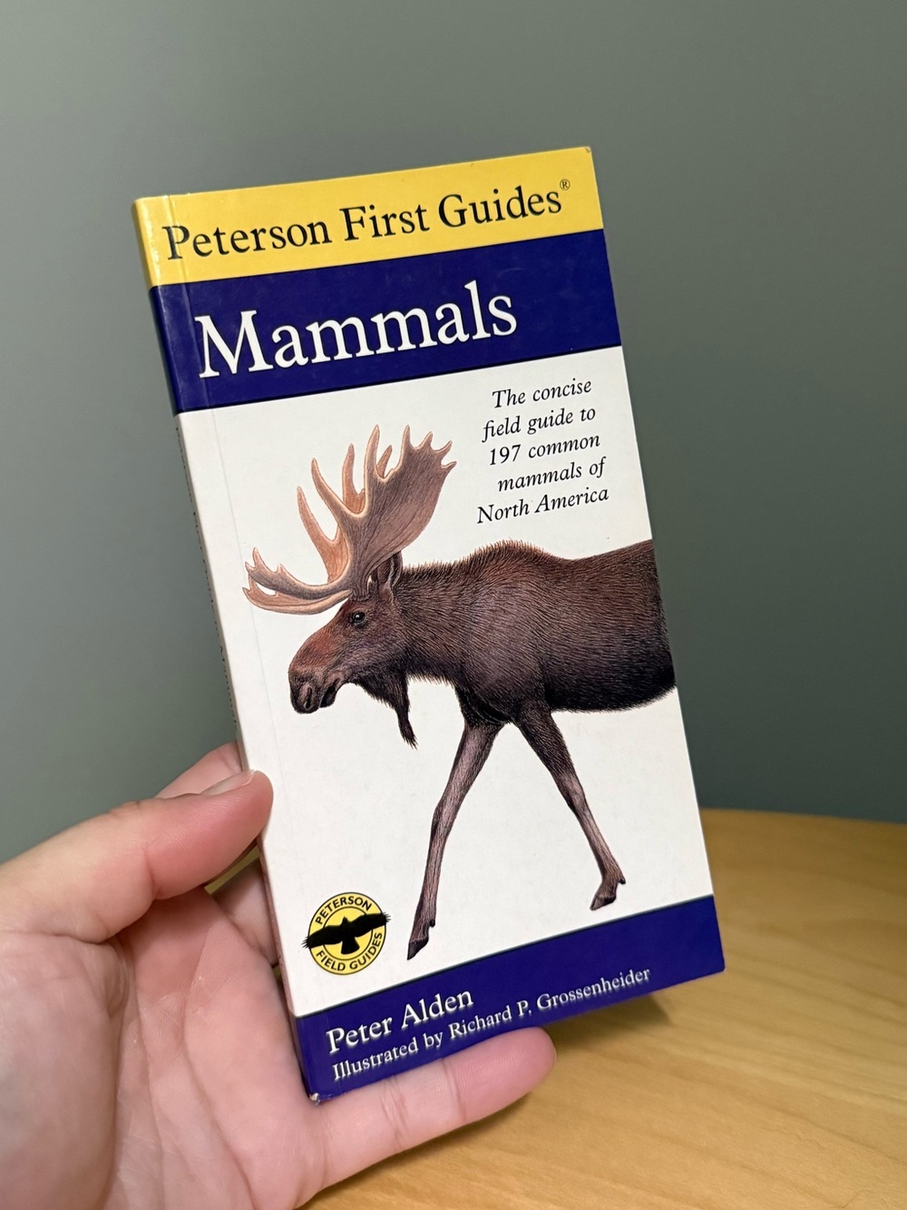 Peterson First Guide to Mammals of North America by Peter Alden Outdoors Book